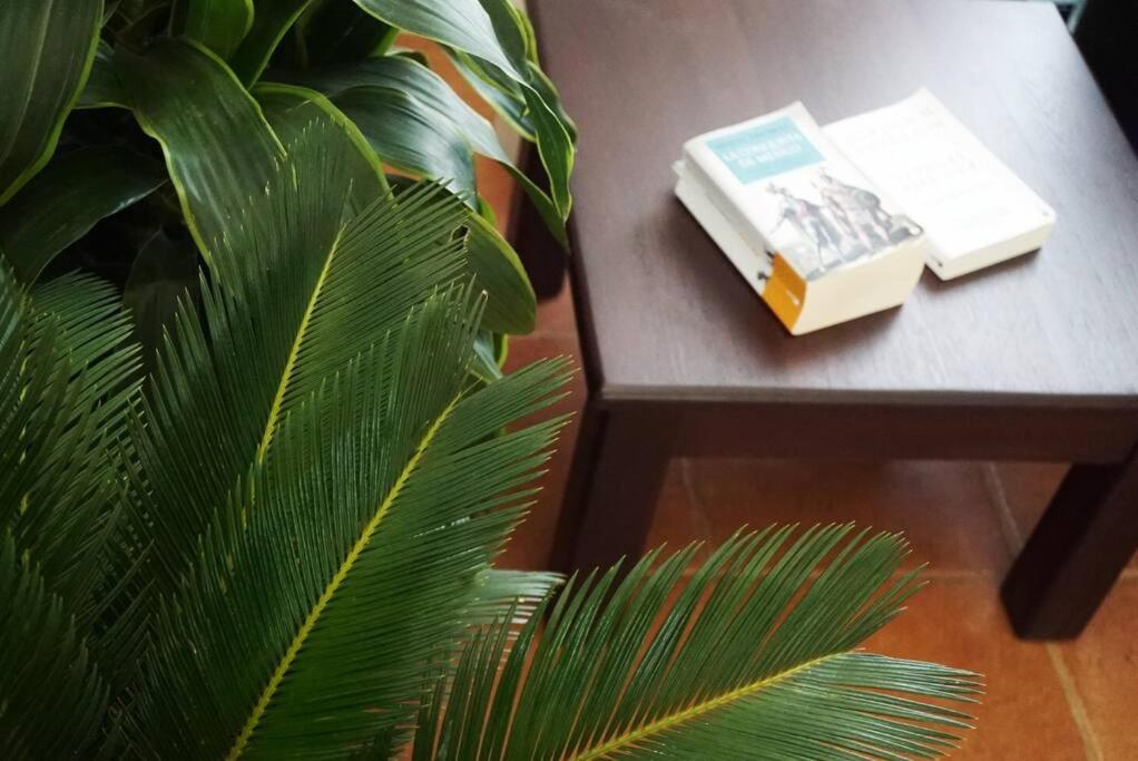 Casa Moes Villa Cahuita Dış mekan fotoğraf